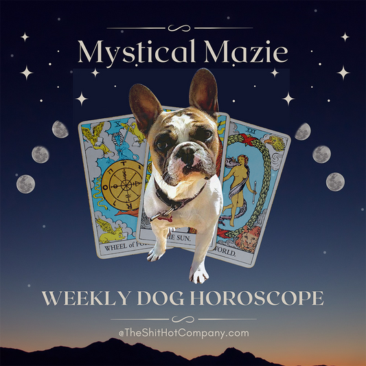 Weekly Dog Horoscope: Training and Behaviour