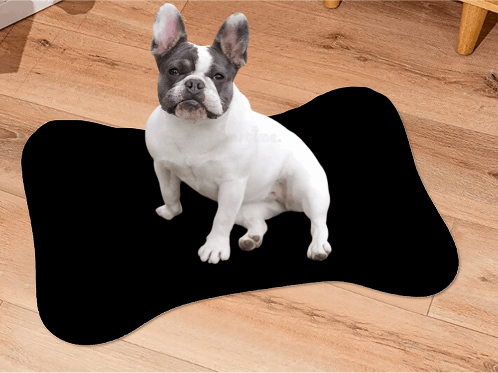 ShitHot Customised Pawesome Pet Rug