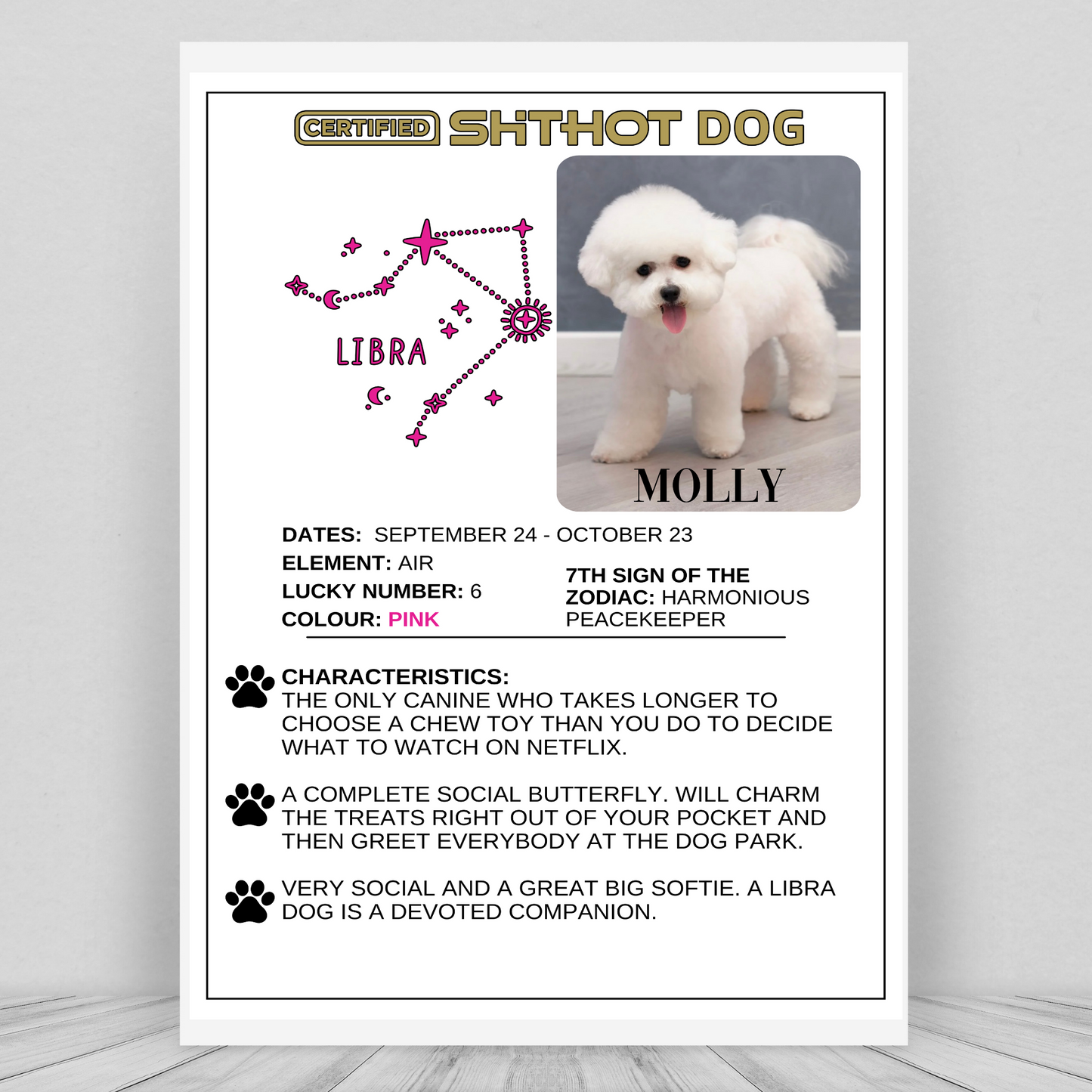 Certified ShitHot Customizable Zodiac Canine Framed Canvas - Capricorn