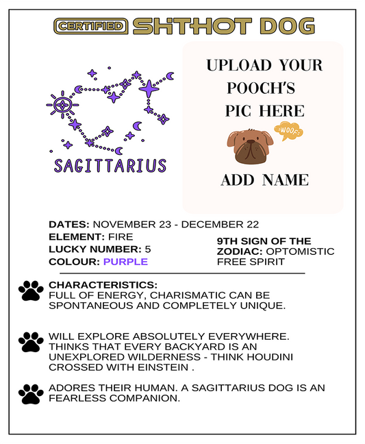 Certified ShitHot Customizable Zodiac Canine Framed Canvas - Sagittarius