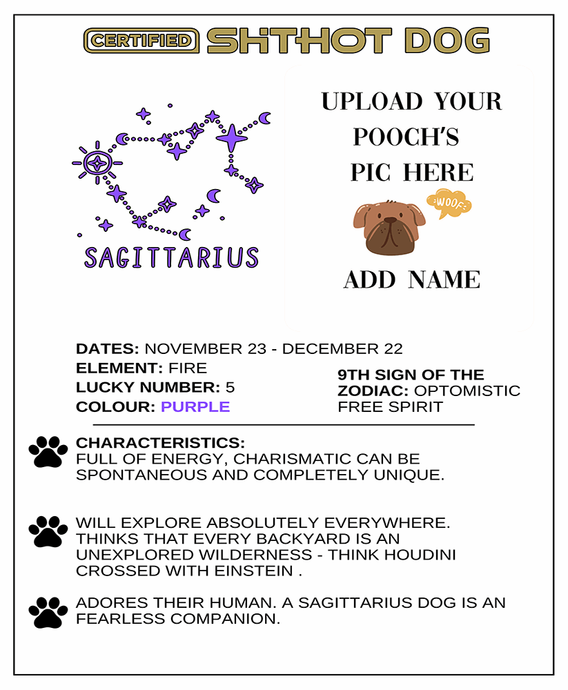 Certified ShitHot Customizable Zodiac Canine Framed Canvas - Sagittarius