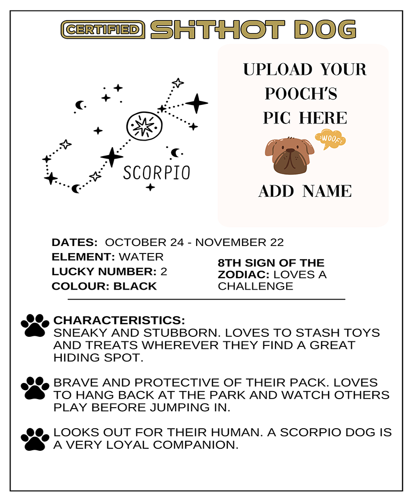 Certified ShitHot Customizable Zodiac Canine Framed Canvas - Scorpio