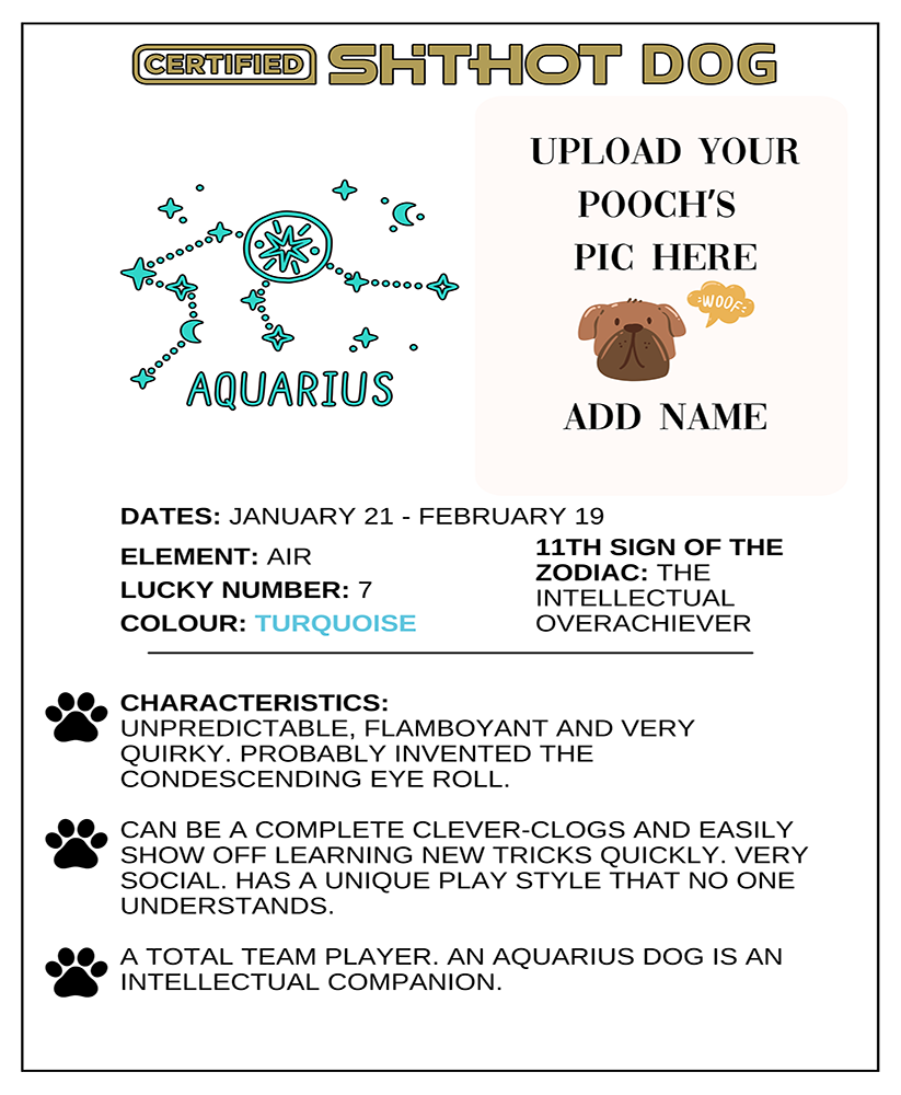 Certified ShitHot Customizable Zodiac Canine Framed Canvas - Aquarius