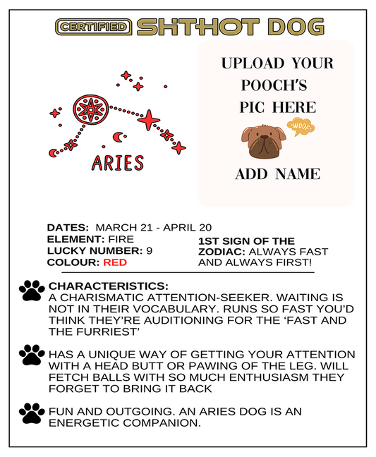 Certified ShitHot Customizable Zodiac Canine Framed Canvas - Aries