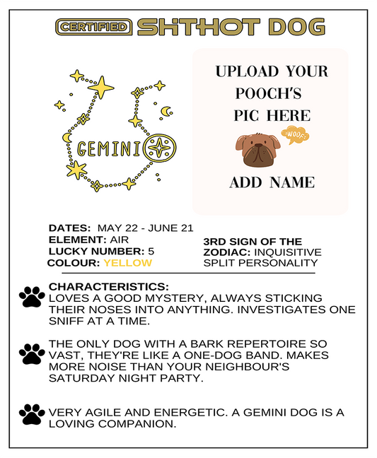 Certified ShitHot Customizable Zodiac Canine Framed Canvas - Gemini
