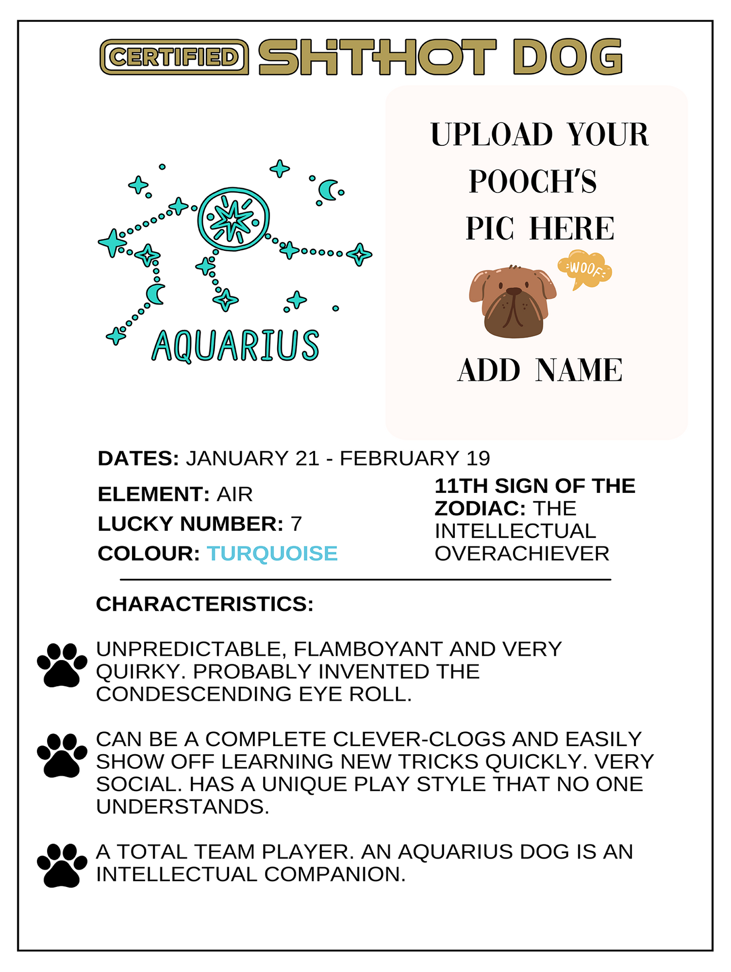 Certified ShitHot Customizable Zodiac Canine Framed Canvas - Aquarius